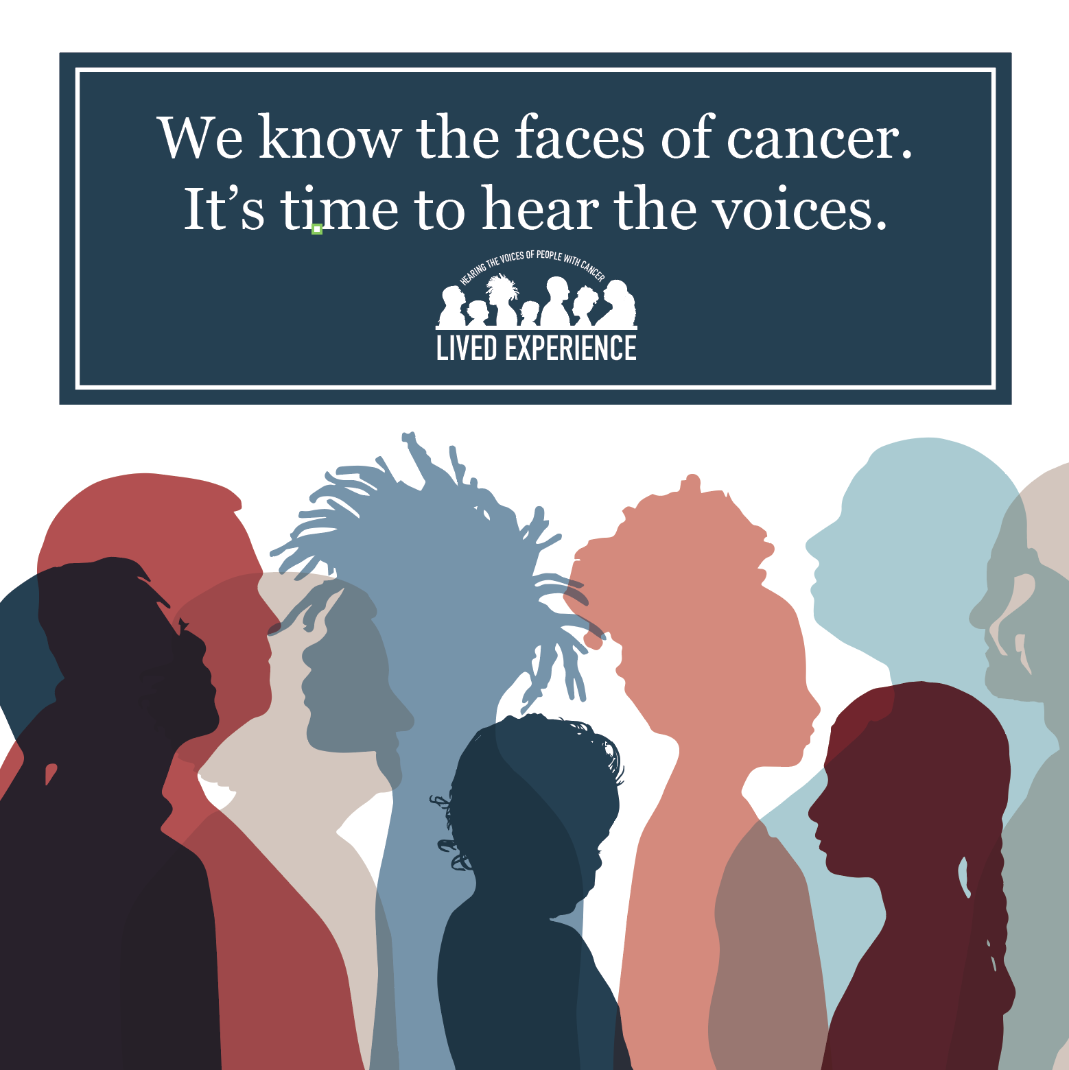 The Lived Experience of Childhood Cancer Survivors and Their Parents: A Multi-National Study of Access to Survivorship Care and Information and Support Needs HQ Cancer Team