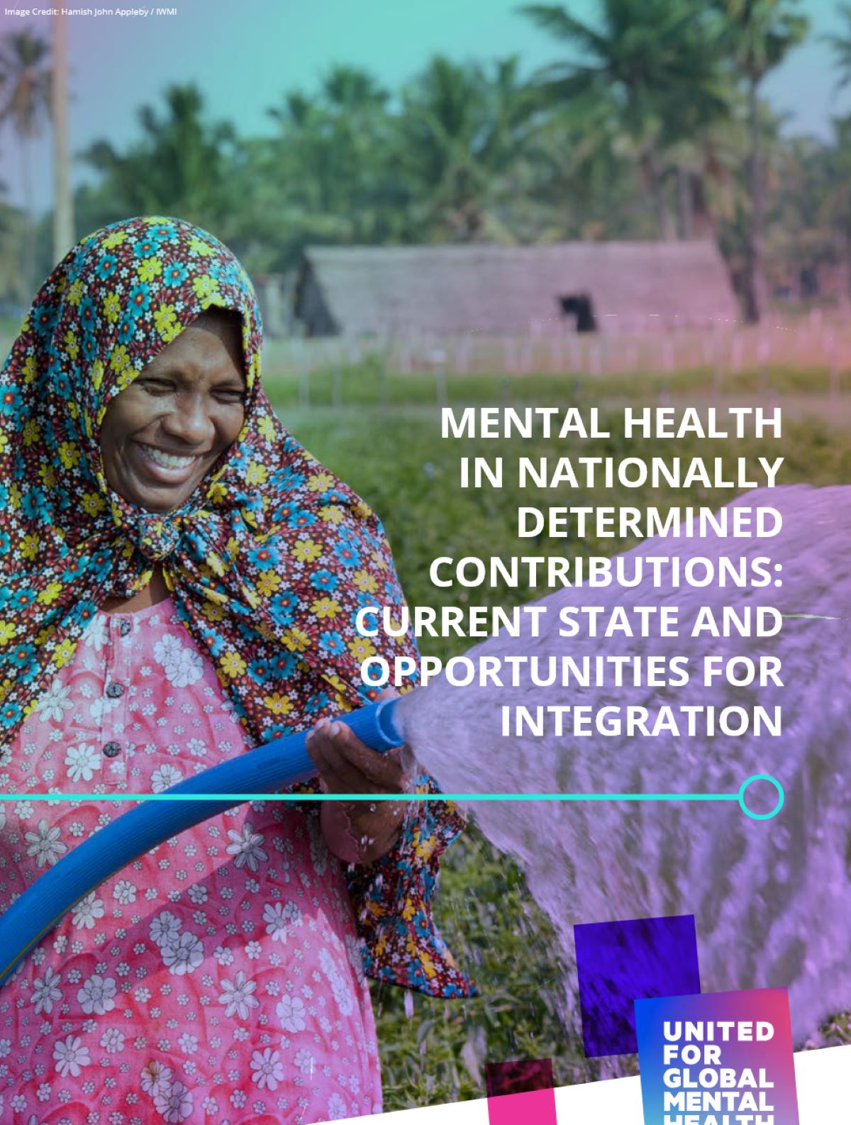 Mental Health in Nationally Determined Contributions (NDCs): Current State and Opportunities for Integration