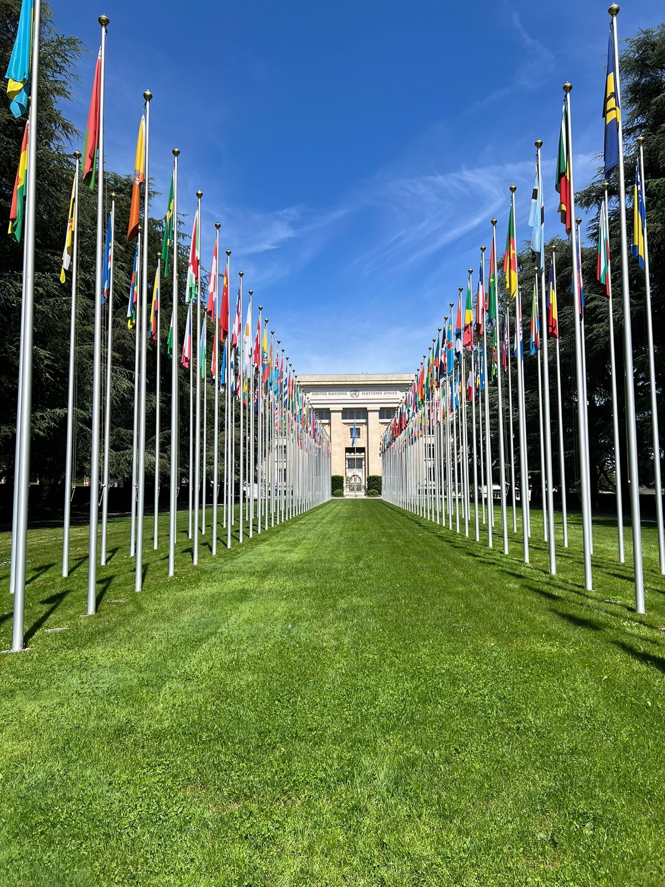 

<!-- THEME DEBUG -->
<!-- THEME HOOK: 'field' -->
<!-- FILE NAME SUGGESTIONS:
   ▪️ field--node--title--pin.html.twig
   ✅ field--node--title.html.twig
   ▪️ field--node--pin.html.twig
   ▪️ field--title.html.twig
   ▪️ field--string.html.twig
   ▪️ field.html.twig
-->
<!-- 💡 BEGIN CUSTOM TEMPLATE OUTPUT from 'themes/custom/whokap/templates/field/field--node--title.html.twig' -->
WHF Statement on Reshaping and Strengthening Health Systems and All Forms of Financing to Meet the Needs of People Living with and at Risk of Noncommunicable Diseases and Mental Health Conditions
<!-- END CUSTOM TEMPLATE OUTPUT from 'themes/custom/whokap/templates/field/field--node--title.html.twig' -->

