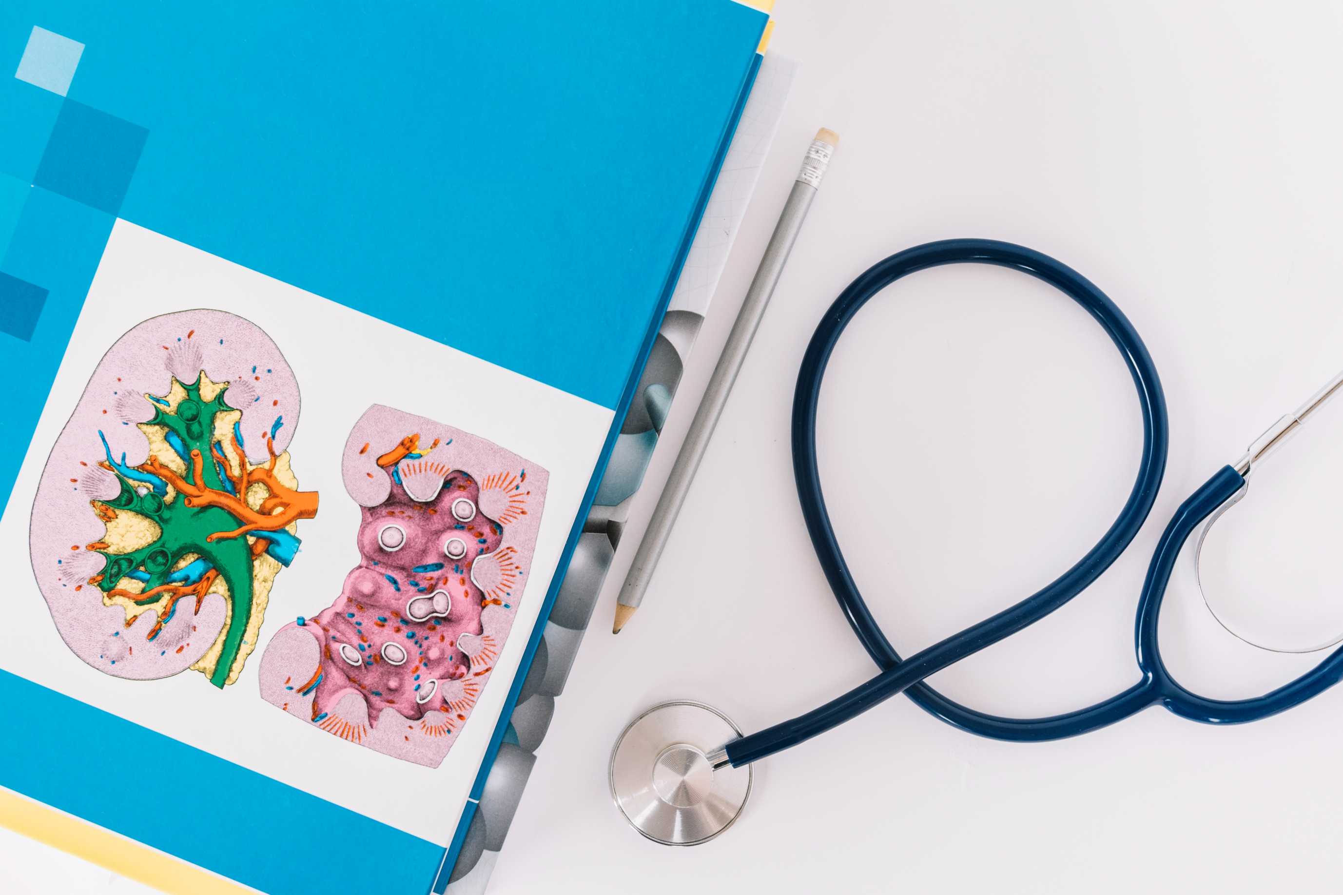 

<!-- THEME DEBUG -->
<!-- THEME HOOK: 'field' -->
<!-- FILE NAME SUGGESTIONS:
   ▪️ field--node--title--pin.html.twig
   ✅ field--node--title.html.twig
   ▪️ field--node--pin.html.twig
   ▪️ field--title.html.twig
   ▪️ field--string.html.twig
   ▪️ field.html.twig
-->
<!-- 💡 BEGIN CUSTOM TEMPLATE OUTPUT from 'themes/custom/whokap/templates/field/field--node--title.html.twig' -->
ISN Dialysis Toolkit
<!-- END CUSTOM TEMPLATE OUTPUT from 'themes/custom/whokap/templates/field/field--node--title.html.twig' -->

