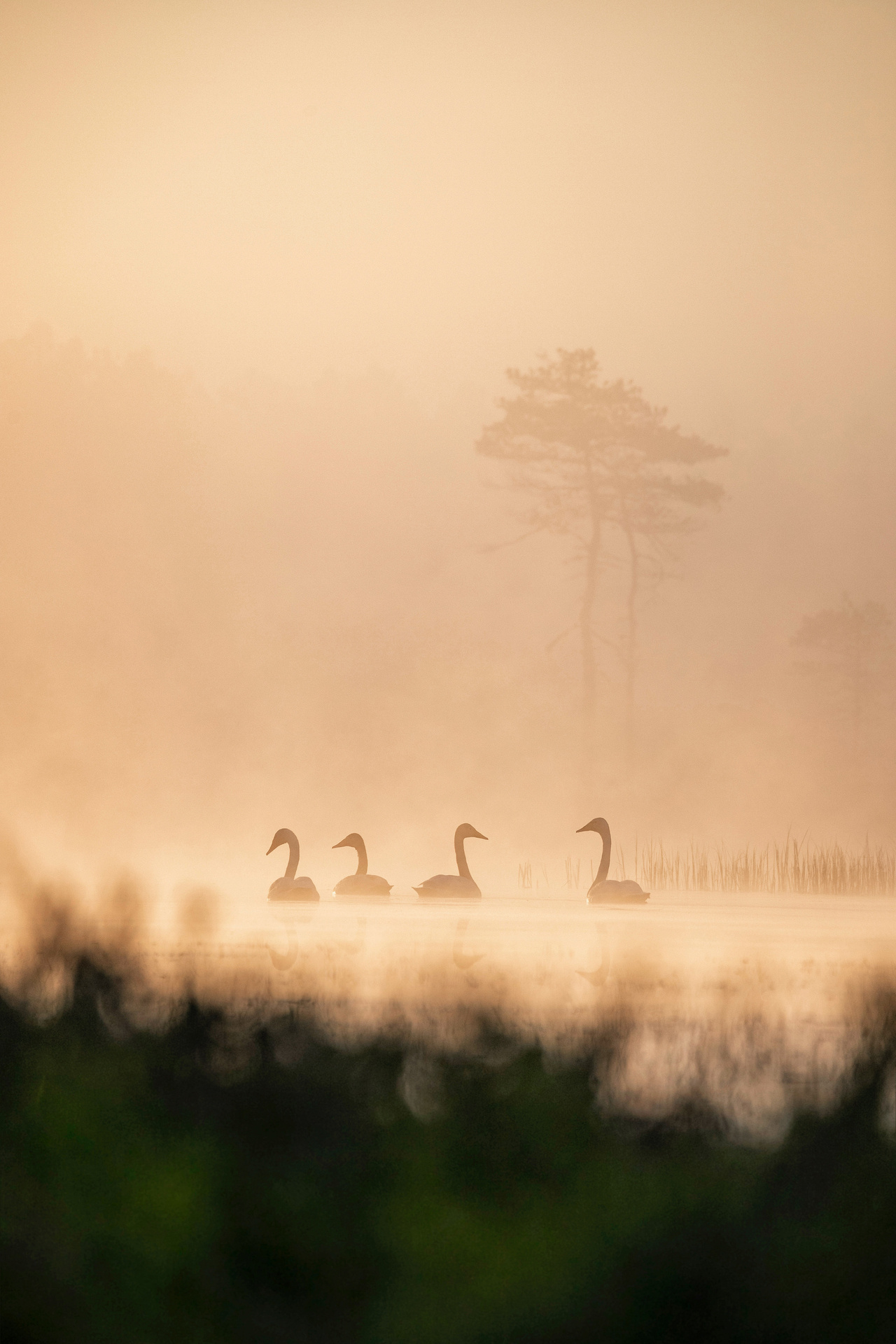 

<!-- THEME DEBUG -->
<!-- THEME HOOK: 'field' -->
<!-- FILE NAME SUGGESTIONS:
   ▪️ field--node--title--pin.html.twig
   ✅ field--node--title.html.twig
   ▪️ field--node--pin.html.twig
   ▪️ field--title.html.twig
   ▪️ field--string.html.twig
   ▪️ field.html.twig
-->
<!-- 💡 BEGIN CUSTOM TEMPLATE OUTPUT from 'themes/custom/whokap/templates/field/field--node--title.html.twig' -->
Mental disorders
<!-- END CUSTOM TEMPLATE OUTPUT from 'themes/custom/whokap/templates/field/field--node--title.html.twig' -->

