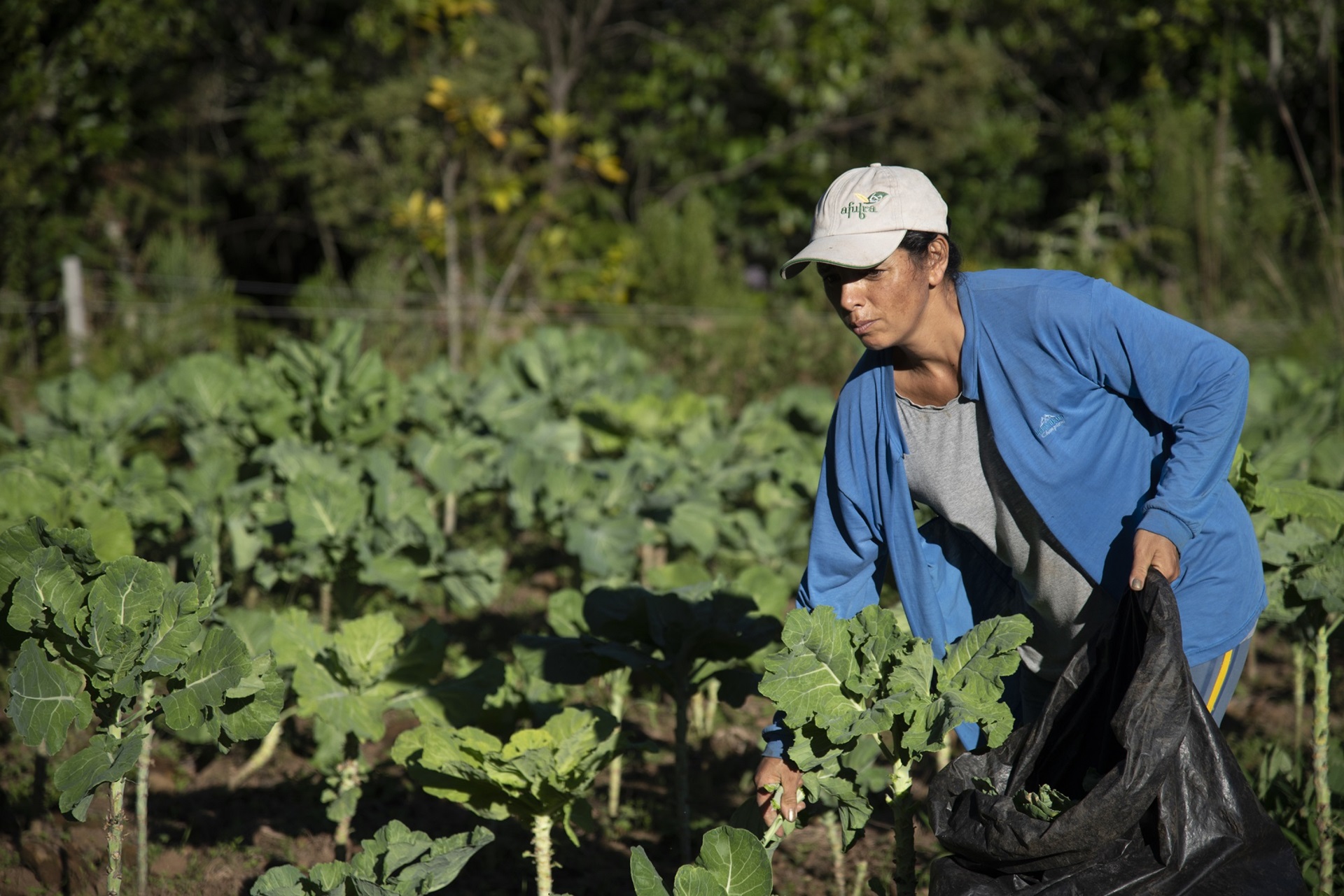 

<!-- THEME DEBUG -->
<!-- THEME HOOK: 'field' -->
<!-- FILE NAME SUGGESTIONS:
   ▪️ field--node--title--news-and-events.html.twig
   ✅ field--node--title.html.twig
   ▪️ field--node--news-and-events.html.twig
   ▪️ field--title.html.twig
   ▪️ field--string.html.twig
   ▪️ field.html.twig
-->
<!-- 💡 BEGIN CUSTOM TEMPLATE OUTPUT from 'themes/custom/whokap/templates/field/field--node--title.html.twig' -->
Tobacco farmers switch to sustainable crops in Brazil
<!-- END CUSTOM TEMPLATE OUTPUT from 'themes/custom/whokap/templates/field/field--node--title.html.twig' -->

