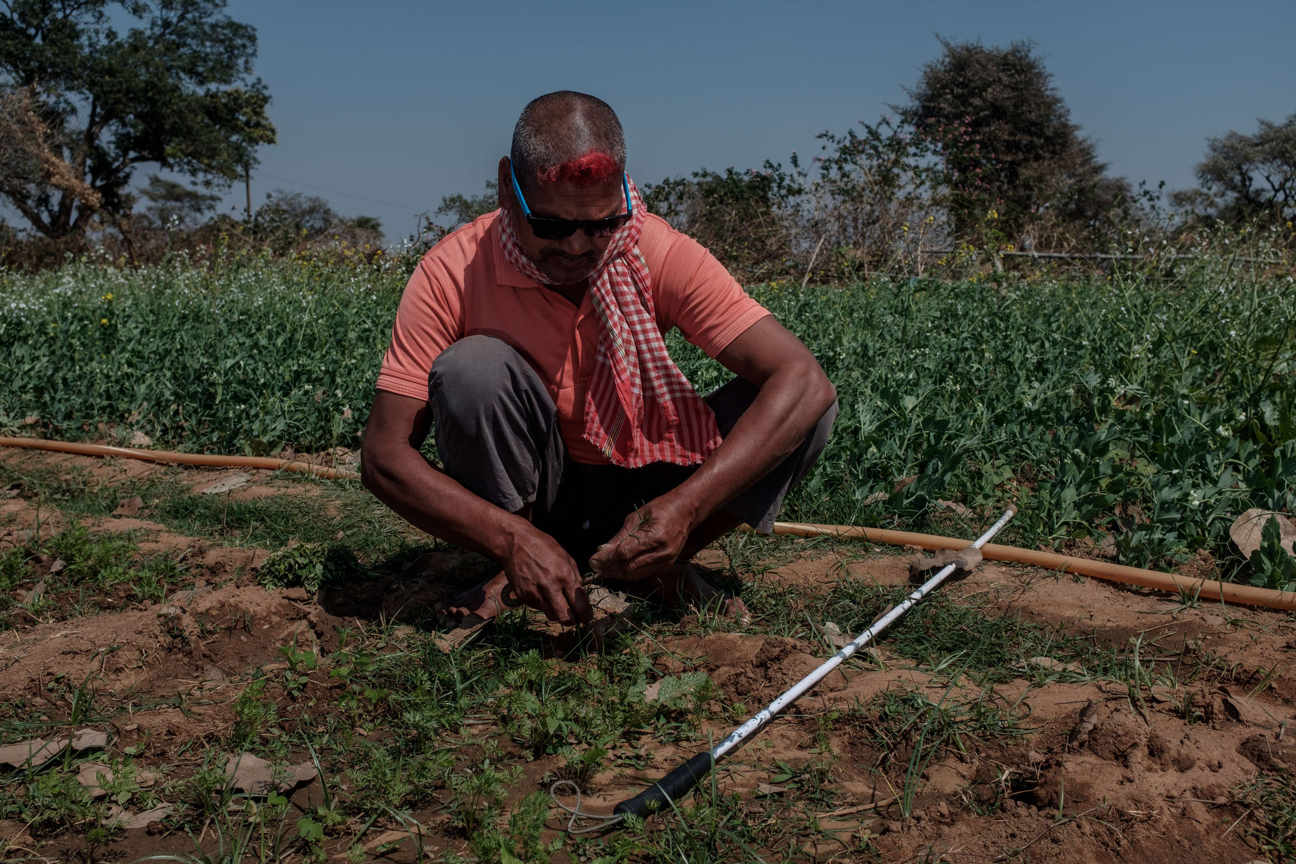 

<!-- THEME DEBUG -->
<!-- THEME HOOK: 'field' -->
<!-- FILE NAME SUGGESTIONS:
   ▪️ field--node--title--pin.html.twig
   ✅ field--node--title.html.twig
   ▪️ field--node--pin.html.twig
   ▪️ field--title.html.twig
   ▪️ field--string.html.twig
   ▪️ field.html.twig
-->
<!-- 💡 BEGIN CUSTOM TEMPLATE OUTPUT from 'themes/custom/whokap/templates/field/field--node--title.html.twig' -->
Protecting health from climate change: Global research priorities
<!-- END CUSTOM TEMPLATE OUTPUT from 'themes/custom/whokap/templates/field/field--node--title.html.twig' -->

