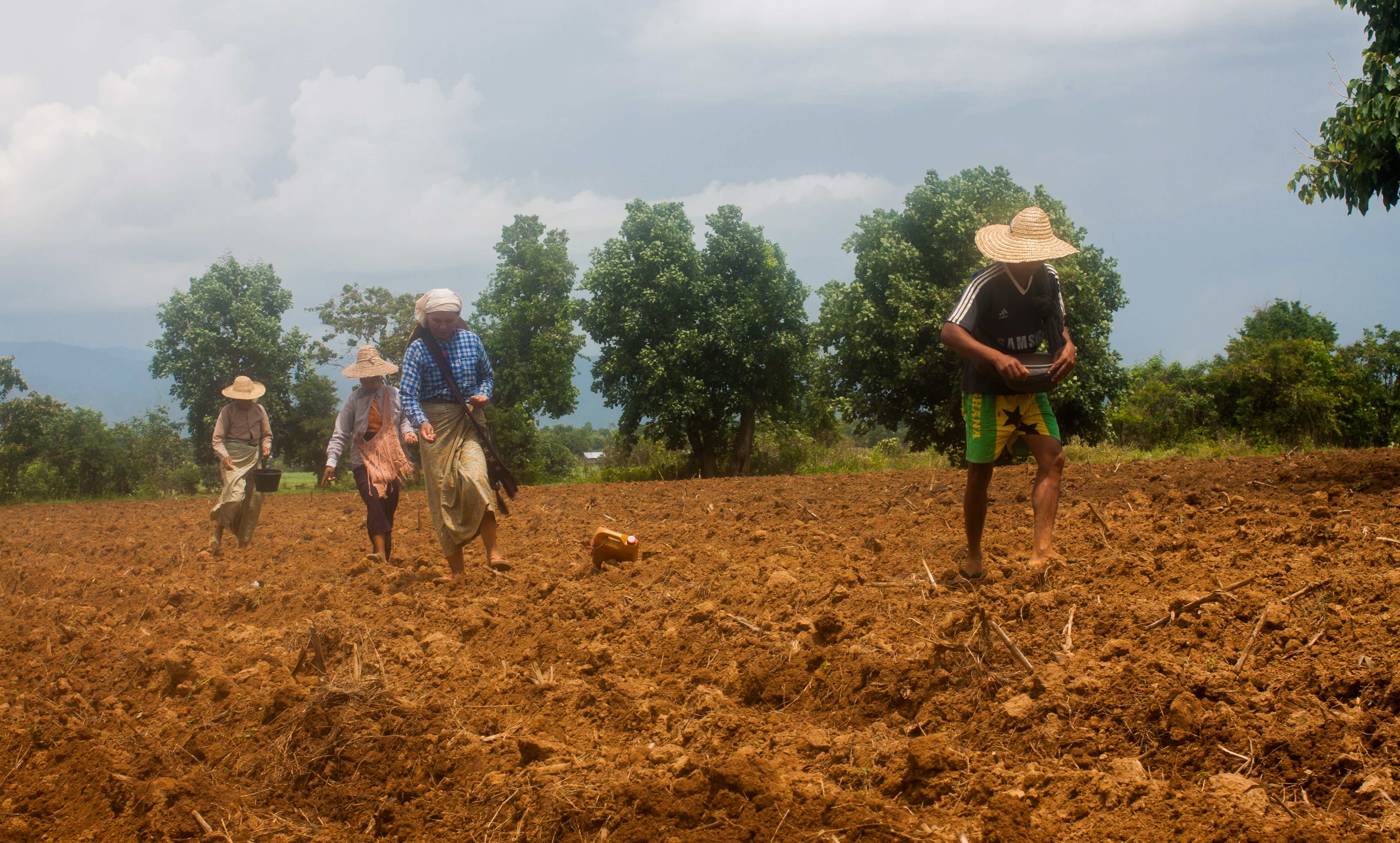 

<!-- THEME DEBUG -->
<!-- THEME HOOK: 'field' -->
<!-- FILE NAME SUGGESTIONS:
   ▪️ field--node--title--pin.html.twig
   ✅ field--node--title.html.twig
   ▪️ field--node--pin.html.twig
   ▪️ field--title.html.twig
   ▪️ field--string.html.twig
   ▪️ field.html.twig
-->
<!-- 💡 BEGIN CUSTOM TEMPLATE OUTPUT from 'themes/custom/whokap/templates/field/field--node--title.html.twig' -->
Protecting health from climate change: vulnerability and adaptation assessment
<!-- END CUSTOM TEMPLATE OUTPUT from 'themes/custom/whokap/templates/field/field--node--title.html.twig' -->

