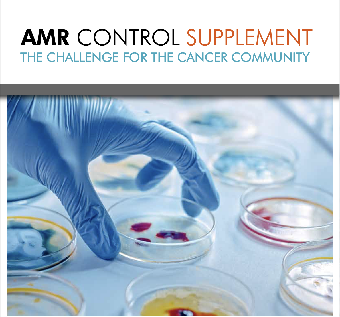 

<!-- THEME DEBUG -->
<!-- THEME HOOK: 'field' -->
<!-- FILE NAME SUGGESTIONS:
   ▪️ field--node--title--pin.html.twig
   ✅ field--node--title.html.twig
   ▪️ field--node--pin.html.twig
   ▪️ field--title.html.twig
   ▪️ field--string.html.twig
   ▪️ field.html.twig
-->
<!-- 💡 BEGIN CUSTOM TEMPLATE OUTPUT from 'themes/custom/whokap/templates/field/field--node--title.html.twig' -->
AMR Control Supplement
<!-- END CUSTOM TEMPLATE OUTPUT from 'themes/custom/whokap/templates/field/field--node--title.html.twig' -->

