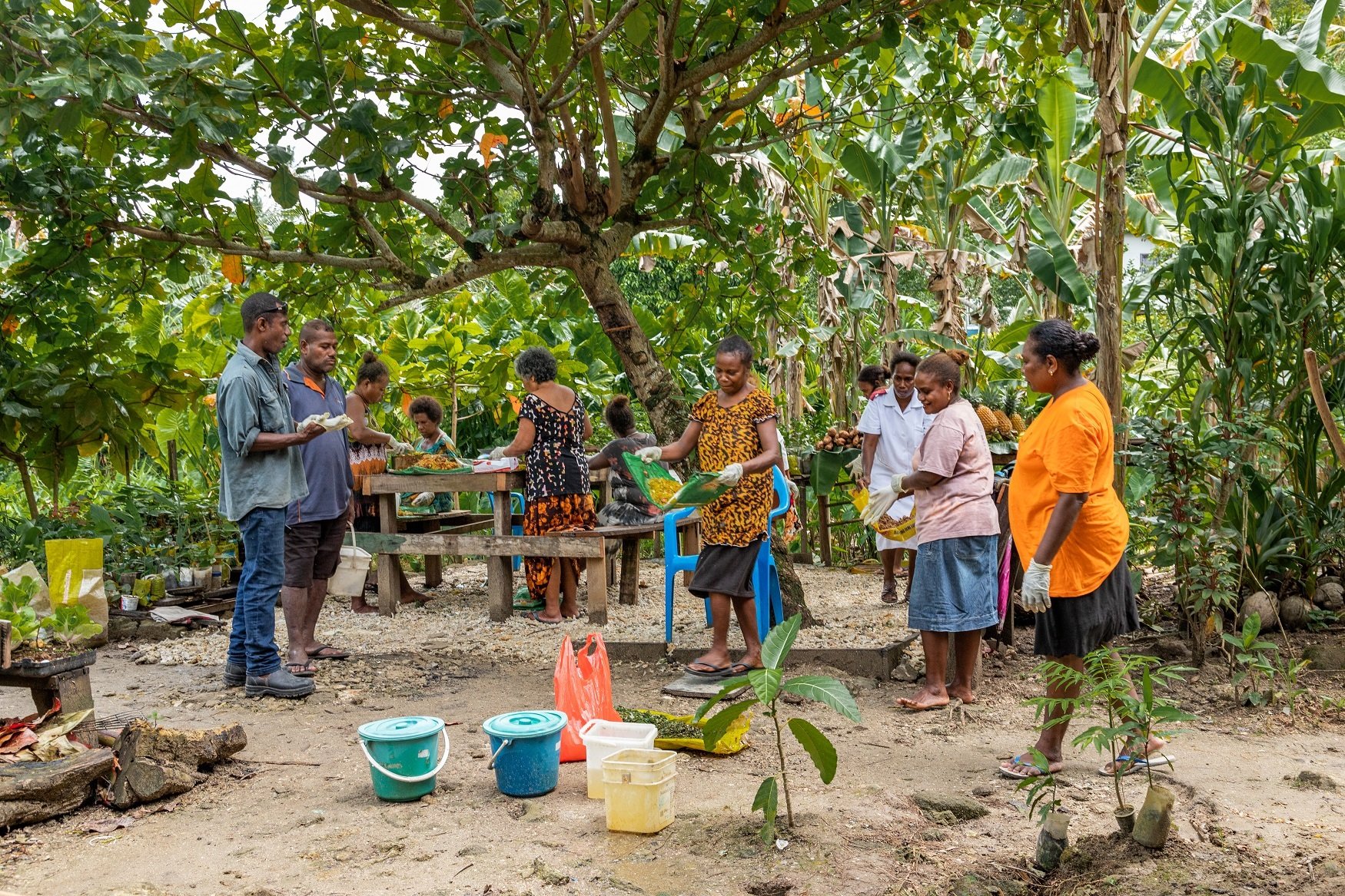 

<!-- THEME DEBUG -->
<!-- THEME HOOK: 'field' -->
<!-- FILE NAME SUGGESTIONS:
   ▪️ field--node--title--general-event.html.twig
   ✅ field--node--title.html.twig
   ▪️ field--node--general-event.html.twig
   ▪️ field--title.html.twig
   ▪️ field--string.html.twig
   ▪️ field.html.twig
-->
<!-- 💡 BEGIN CUSTOM TEMPLATE OUTPUT from 'themes/custom/whokap/templates/field/field--node--title.html.twig' -->
SIDS ministerial conference on NCDs and mental health
<!-- END CUSTOM TEMPLATE OUTPUT from 'themes/custom/whokap/templates/field/field--node--title.html.twig' -->

