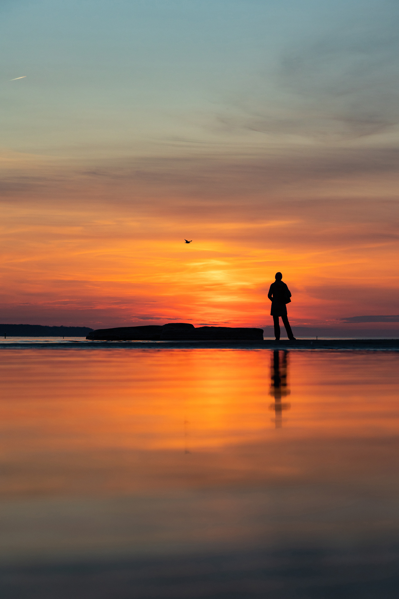 

<!-- THEME DEBUG -->
<!-- THEME HOOK: 'field' -->
<!-- FILE NAME SUGGESTIONS:
   ▪️ field--node--title--pin.html.twig
   ✅ field--node--title.html.twig
   ▪️ field--node--pin.html.twig
   ▪️ field--title.html.twig
   ▪️ field--string.html.twig
   ▪️ field.html.twig
-->
<!-- 💡 BEGIN CUSTOM TEMPLATE OUTPUT from 'themes/custom/whokap/templates/field/field--node--title.html.twig' -->
Out of the Shadows: Making Mental Health a Global Development Priority
<!-- END CUSTOM TEMPLATE OUTPUT from 'themes/custom/whokap/templates/field/field--node--title.html.twig' -->

