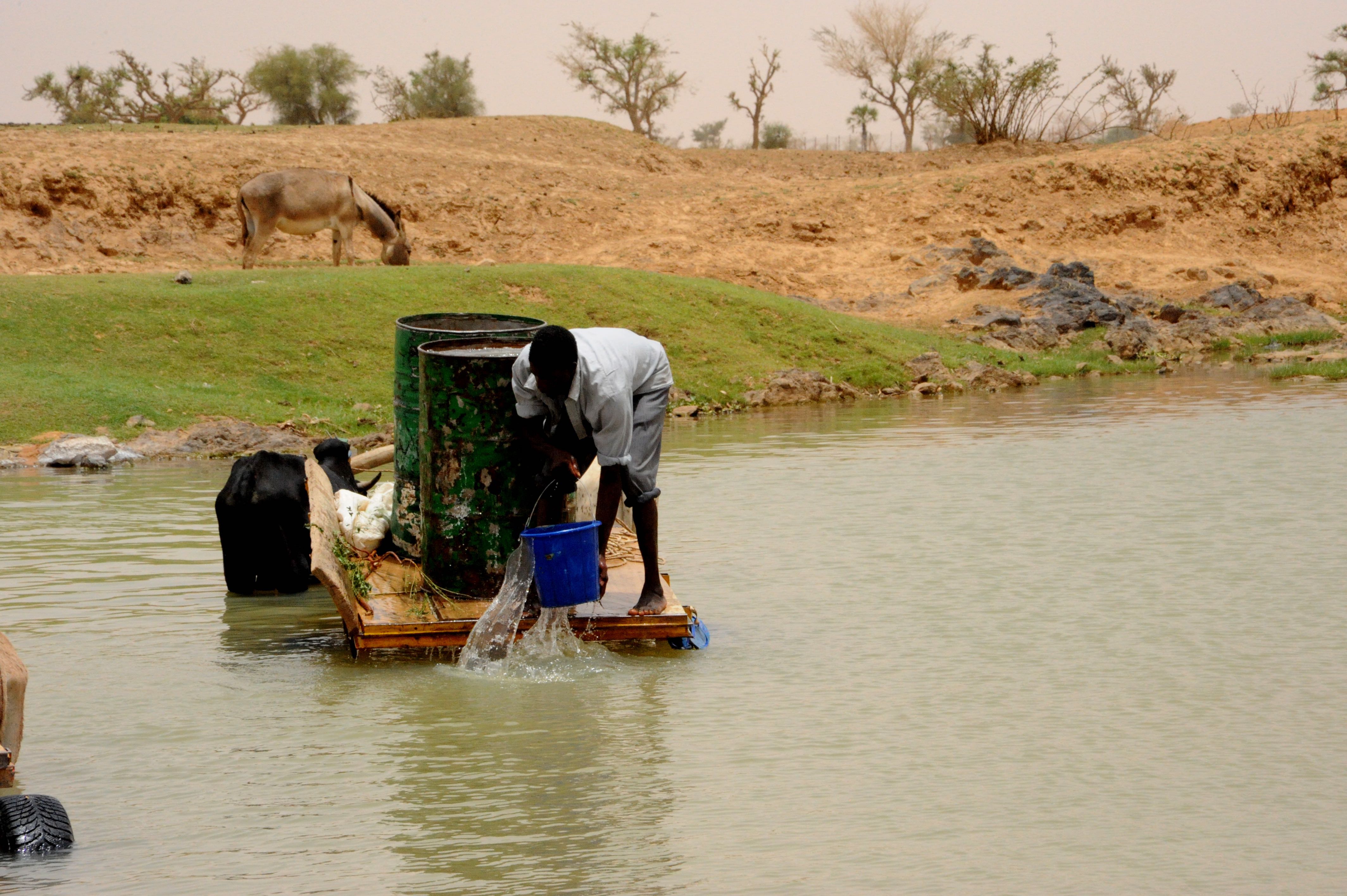 

<!-- THEME DEBUG -->
<!-- THEME HOOK: 'field' -->
<!-- FILE NAME SUGGESTIONS:
   ▪️ field--node--title--pin.html.twig
   ✅ field--node--title.html.twig
   ▪️ field--node--pin.html.twig
   ▪️ field--title.html.twig
   ▪️ field--string.html.twig
   ▪️ field.html.twig
-->
<!-- 💡 BEGIN CUSTOM TEMPLATE OUTPUT from 'themes/custom/whokap/templates/field/field--node--title.html.twig' -->
The health benefits of tackling climate change - An Executive Summary for the Lancet Series
<!-- END CUSTOM TEMPLATE OUTPUT from 'themes/custom/whokap/templates/field/field--node--title.html.twig' -->

