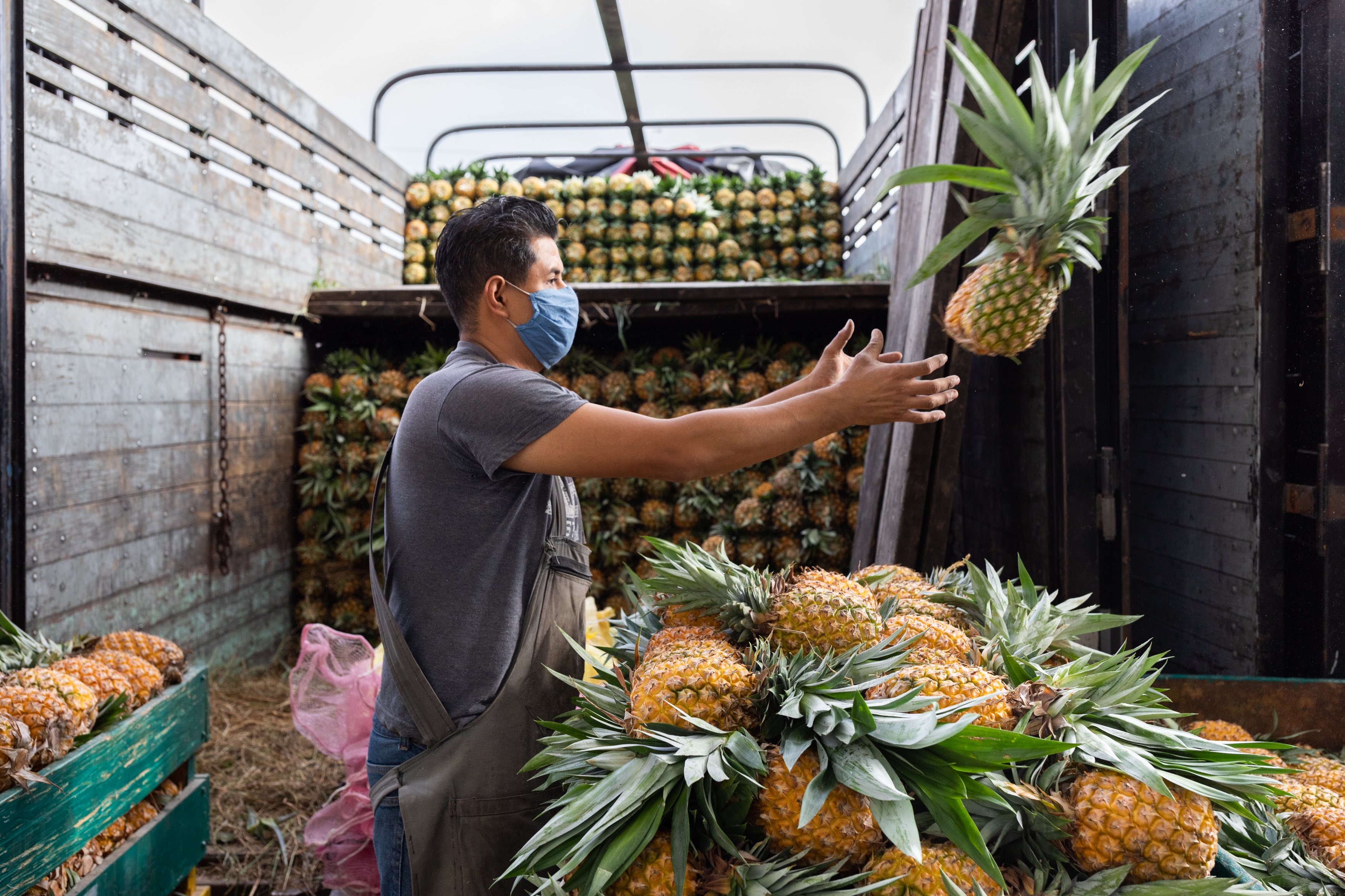 

<!-- THEME DEBUG -->
<!-- THEME HOOK: 'field' -->
<!-- FILE NAME SUGGESTIONS:
   ▪️ field--node--title--pin.html.twig
   ✅ field--node--title.html.twig
   ▪️ field--node--pin.html.twig
   ▪️ field--title.html.twig
   ▪️ field--string.html.twig
   ▪️ field.html.twig
-->
<!-- 💡 BEGIN CUSTOM TEMPLATE OUTPUT from 'themes/custom/whokap/templates/field/field--node--title.html.twig' -->
Coronavirus: what it means for you if you have heart or circulatory disease
<!-- END CUSTOM TEMPLATE OUTPUT from 'themes/custom/whokap/templates/field/field--node--title.html.twig' -->

