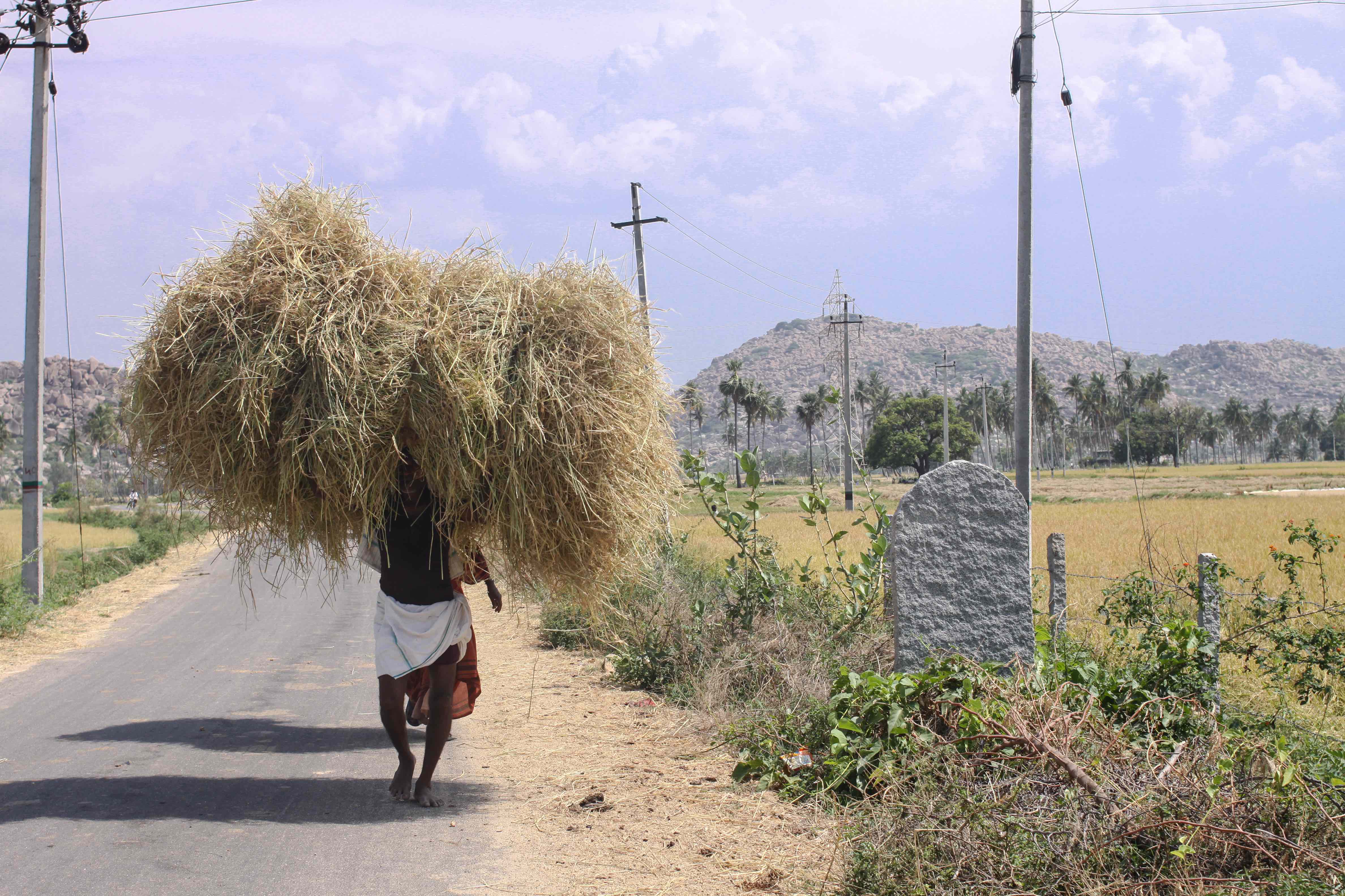 

<!-- THEME DEBUG -->
<!-- THEME HOOK: 'field' -->
<!-- FILE NAME SUGGESTIONS:
   ▪️ field--node--title--news-and-events.html.twig
   ✅ field--node--title.html.twig
   ▪️ field--node--news-and-events.html.twig
   ▪️ field--title.html.twig
   ▪️ field--string.html.twig
   ▪️ field.html.twig
-->
<!-- 💡 BEGIN CUSTOM TEMPLATE OUTPUT from 'themes/custom/whokap/templates/field/field--node--title.html.twig' -->
WHO publishes guidance on climate resilient and environmentally sustainable health care facilities
<!-- END CUSTOM TEMPLATE OUTPUT from 'themes/custom/whokap/templates/field/field--node--title.html.twig' -->

